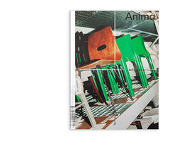 Issue 3